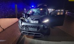 Amasya'da otomobilin çarptığı yaya öldü