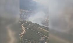 İzmir'in Narlıdere ilçesinde çıkan orman yangını kontrol altında