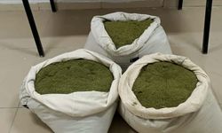 Adana'da saman yüklü tırda 35 kilogram esrar ele geçirildi