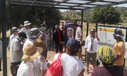 Yabancı arkeologlar Aydın'daki Magnesia Antik Kenti'ni ziyaret etti