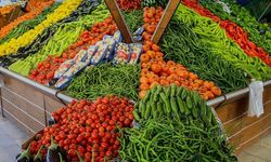 Türkiye mayısta 284 milyon dolarlık yaş meyve sebze ihraç etti