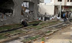 İsrail saldırıları nedeniyle Gazze Şeridi'nde tarım ve hayvancılık bitti