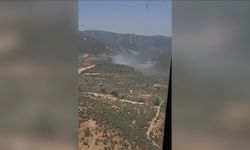 İzmir'in Torbalı ilçesinde çıkan orman yangını kontrol altına alındı