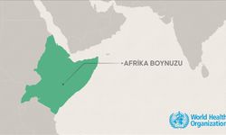 Afrika Boynuzu, iklim değişikliğine karşı en savunmasız bölgelerden biri