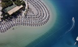 Türkiye Çevre Haftası "Hepimizin Bir Dünyası Var" temasıyla 81 ilde kutlanacak