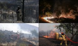 Dünya genelinde orman yangınları etkili oluyor
