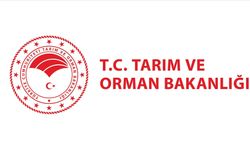 Tarım ve Orman Bakanlığından "Tunceli'de tavukların gerekçesiz itlaf edildiği" iddialarına ilişkin açıklama