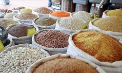 Mart ve nisan yağışları hububata olumlu yansıdı
