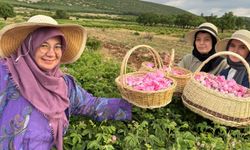 Zeytindalı ve Bika Kooperatiflerinden “Üretimde Sıfır Atık” Defilesi