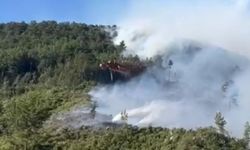 Antalya'da iki bölgede çıkan orman yangınına müdahale ediliyor