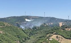 Balıkesir'de çıkan orman yangınına müdahale ediliyor