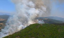 Bursa'da çıkan orman yangınına müdahale ediliyor