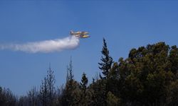İzmir'in Aliağa ilçesinde çıkan orman yangınına müdahale ediliyor