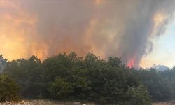 Eskişehir'de çıkan orman yangınına müdahale ediliyor