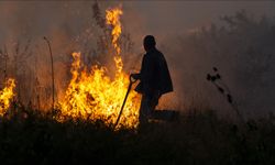 Bulgaristan'da yangınla mücadele sürüyor