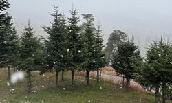 Bolu'nun yüksek kesimlerine kar yağdı