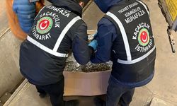 Gümrükler Muhafaza ekipleri zehir tacirlerine göz açtırmadı