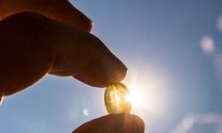 Uzmanından 'D vitamini yetersizliği birçok hastalığı tetikleyebiliyor' uyarısı