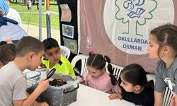 267 okul 'orman bayrağı' almaya hak kazandı