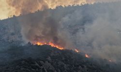 Antalya'daki orman yangınına müdahale sürüyor