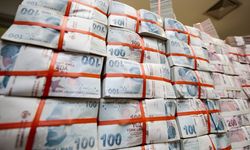 Bankacılık sektörünün mevduatı geçen hafta arttı