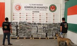 Kapıkule Gümrük Kapısı'nda 1,2 ton uyuşturucu ele geçirildi