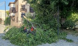 Mersin'de kuvvetli rüzgar etkili oluyor