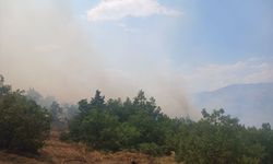 Pütürge'de çıkan orman yangınına müdahale ediliyor