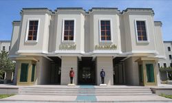 Şanlıurfa'da bir çocuğun sahipsiz köpeğin saldırısına uğramasıyla ilgili müfettiş görevlendirildi