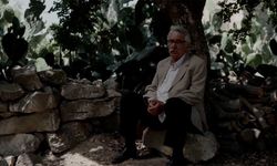 TRT ortak yapımı 'Kesilmiş Bir Ağaç Gibi' Türkiye'nin Oscar adayı oldu