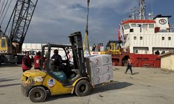 Türkiye 5 kıtada 85 ülkeye yardım ulaştırdı