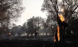 Yunanistan'ın Serez ilinde orman yangınının evlere yakın olması nedeniyle bölge tahliye edildi