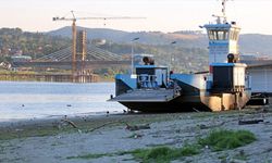 Bulgaristan'da Tuna Nehri'nde çok sayıda gemi düşük su seviyesi nedeniyle bekliyor
