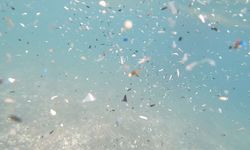 Güneyden esen rüzgar, Akdeniz kıyılarında plastik atık birikimine neden oluyor