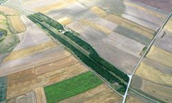 Kars'ta 57 yıl önce ağaçlandırılan tren istasyonu, yeşil dokusuyla dikkati çekiyor