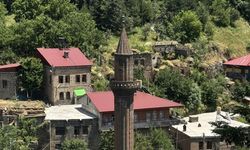 Tarihin ve doğal güzelliklerin buluştuğu şehir: Bitlis