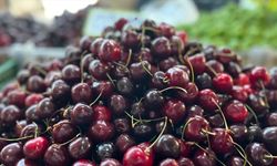 Türkiye'nin yaş meyve ihracatı, 7 aylık dönemde ilk kez 1 milyar dolar bandını aştı