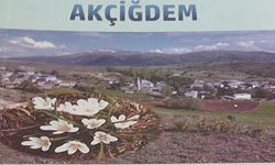 GÖNLÜMDE AÇAN AKÇİĞDEM