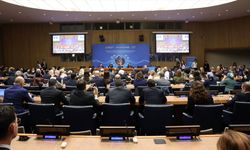 Aile ve Sosyal Hizmetler Bakanlığının BM panelinde çocuklar için güvenli dijital sistemler talep edildi