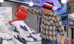 Karadeniz'de palamut bolluğu Rize'de tezgahlara yansıdı
