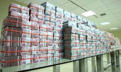 Türk lirası mevduatın payını artırma politikaları sürdürülecek