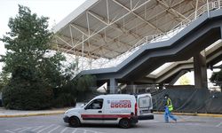 Yunanistan'da son bir haftada 34 yeni Batı Nil virüsü vakası kaydedildi