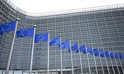 Avrupa Ekonomik ve Sosyal Komitesinde yolsuzluk iddiaları ve güvenlik incelemesi tartışmaya yol açtı