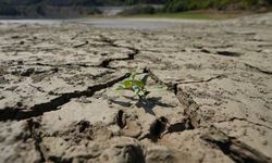 BM kuruluşlarından El Nino'ya karşı 'erken ve ciddiyetle harekete geçilmesi' çağrısı