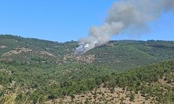 Bursa'da çıkan orman yangınına müdahale ediliyor