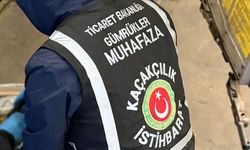 Edirne'deki iki gümrük kapısında yapılan operasyonlarda 7 bin 160 tarihi eser ele geçirildi