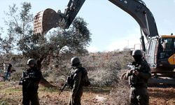 Filistinli yetkiliye göre, İsrail zeytin hasatı sezonundaki saldırılarıyla daha fazla toprak gasbını hedefliyor