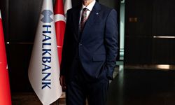 Halkbank Karaman'da depolamalı güneş enerjisi santrali kuracak