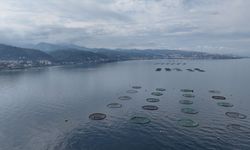 Karadeniz'in su ürünleri ihracatı 9 ayda 322 milyon doları aştı