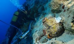 Kekova'da dünyanın en eski batığına ait amforalar bulundu